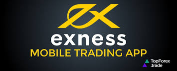 Comprehensive Guide to Analytics Exness Maximizing Your Trading Experience