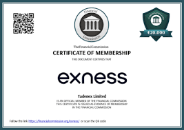 Comprehensive Review of Exness Trading Platform