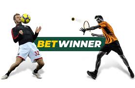 Discover the Excitement of BetWinner Casino 13
