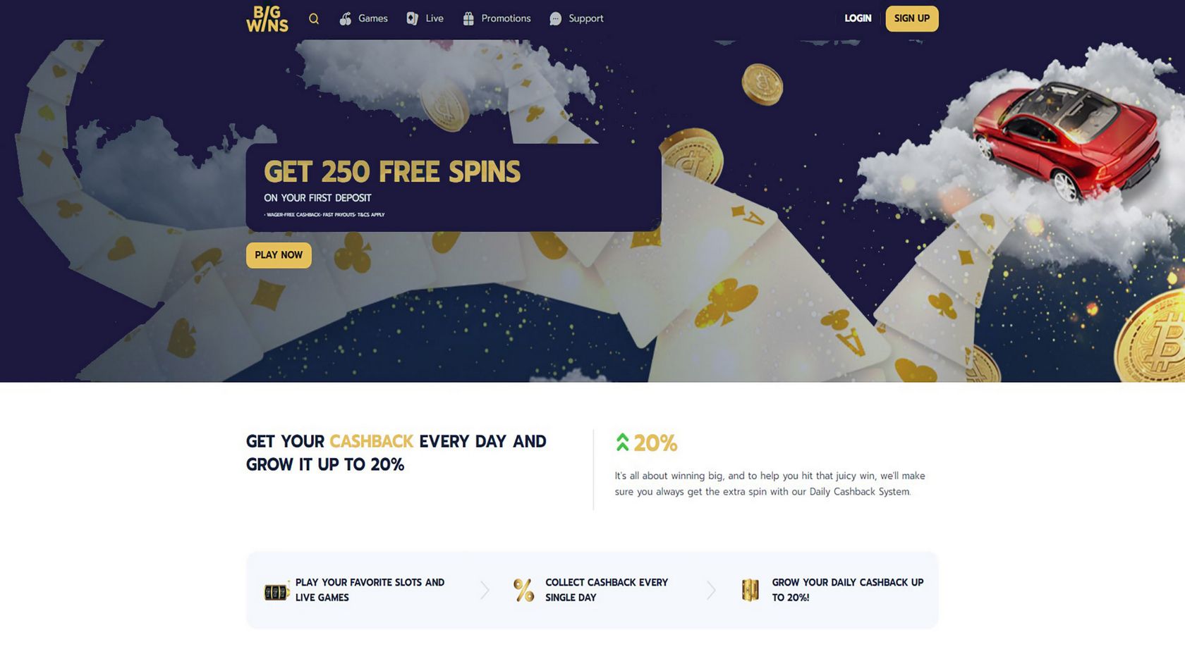 Bigwin Casino Evaluation