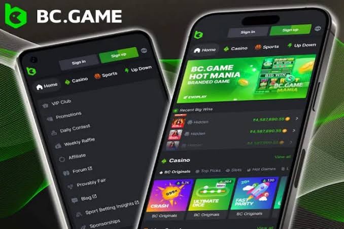 Step-by-Step Guide to BC.Game Registration Process 923743942
