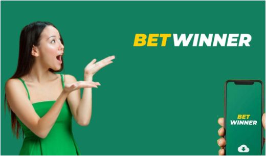 Your Ultimate Guide to BetWinner Casino